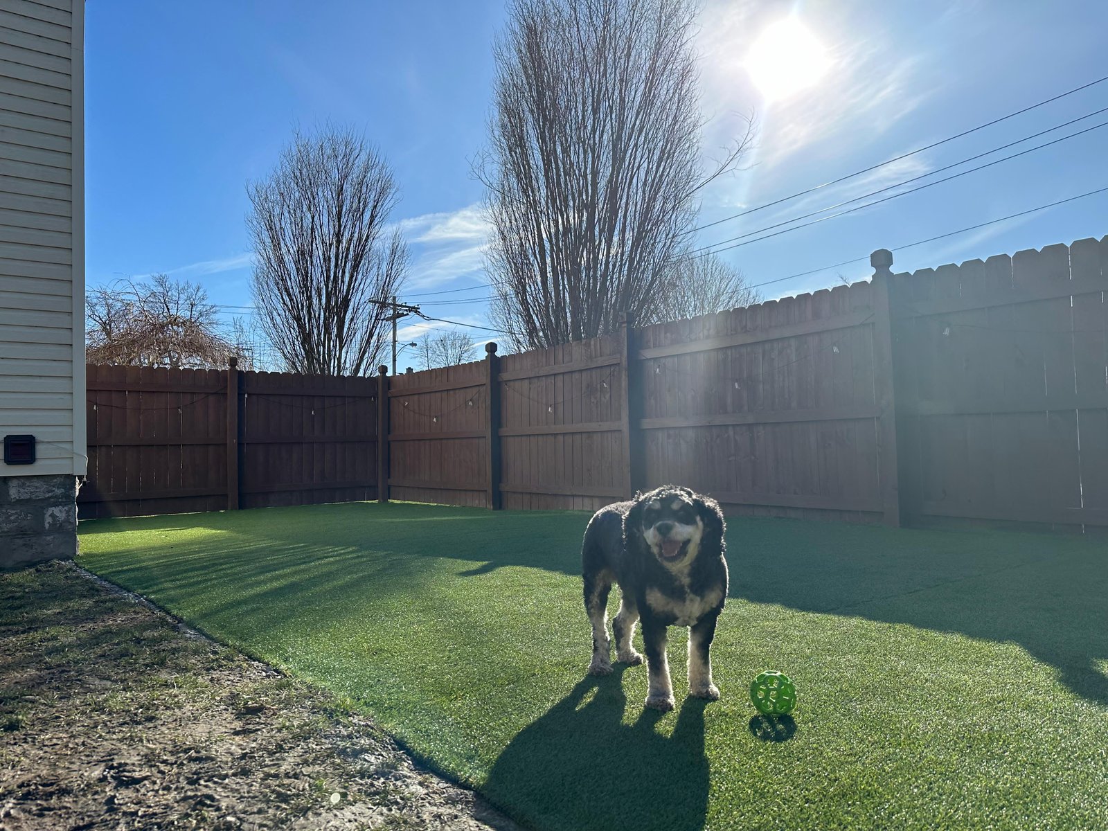 Outdoor lighting installation Buffalo